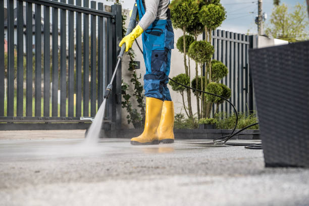 Best Fence Cleaning  in Warm Springs, CA