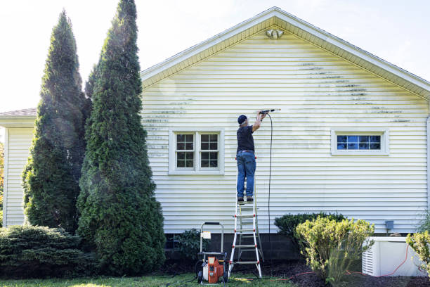 Best Dumpster Area Cleaning  in Warm Springs, CA
